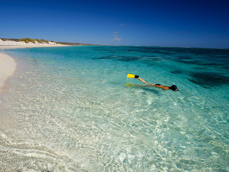 Snorkla i Australien